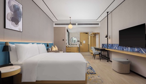 Room, 1 King Bed