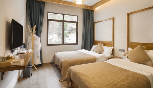 Basic Twin Room