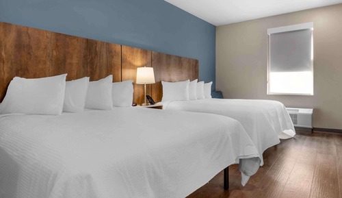 Standard Studio, 2 Queen Beds, Refrigerator & Microwave