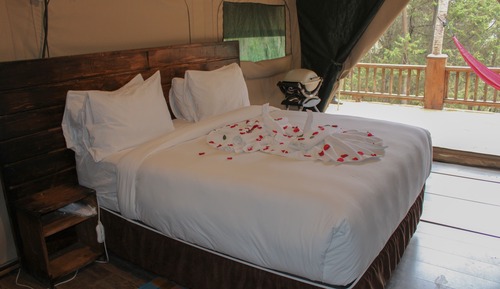 Tent, 1 Queen Bed
