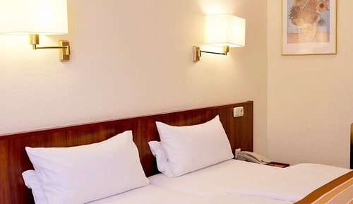 Double Room Single Use, 1 King Bed