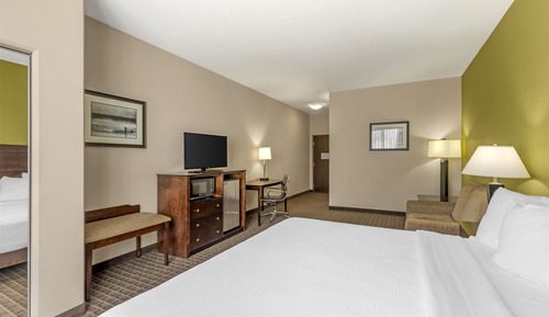 Standard Room, 1 King Bed, Accessible, Refrigerator & Microwave (with Sofabed)