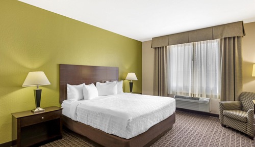 Executive Suite, 1 King Bed, Non Smoking, Refrigerator & Microwave (with Sofabed)