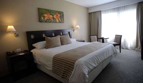 Room, 1 King Bed