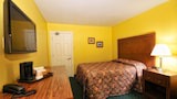 Basic Single Room, 1 Double Bed