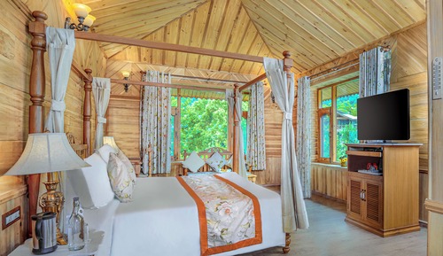 Deluxe Room, 1 Queen Bed (Rohtang View Double)