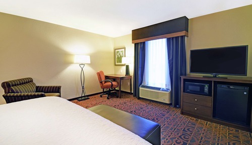 Room, 1 King Bed, Non Smoking, Refrigerator & Microwave
