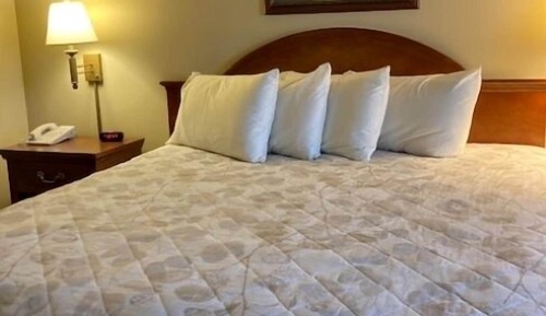 Standard Room, 1 King Bed, Refrigerator & Microwave