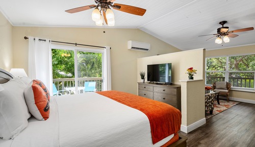 Deluxe Studio, 1 King Bed with Sofa bed, Kitchen (#14 Balcony 2nd Floor)