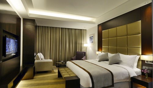 Business Room (Class - Lounge Access)