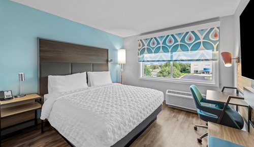 Room, 1 King Bed