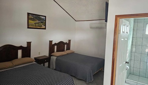 Basic Double Room
