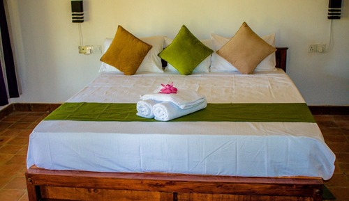 Comfort Single Room, Pool View