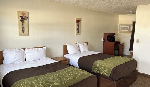 Basic Double Room
