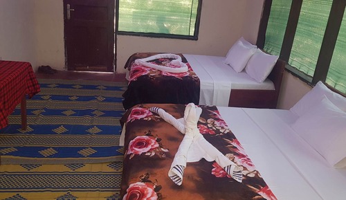 Family Double or Twin Room