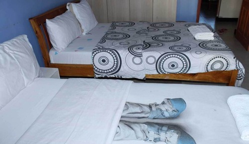 Business Apartment