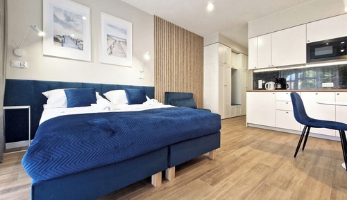Superior Studio Suite, 1 Queen Bed with Sofa bed