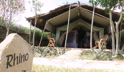 Deluxe Tent, 2 Twin Beds, Garden View