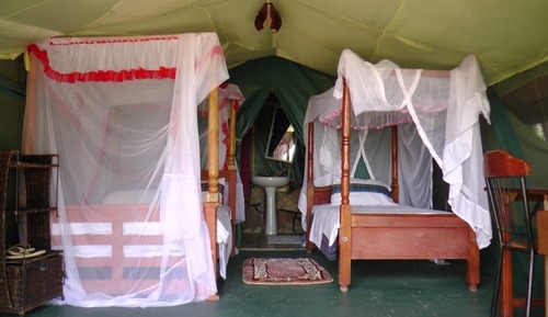 Deluxe Room, 2 Twin Beds, Garden View