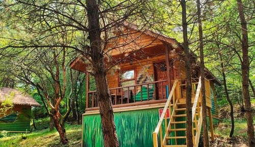Bungalow, Resort View