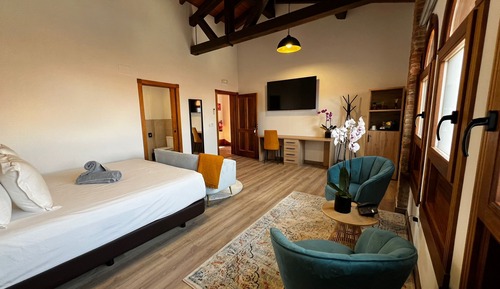 Junior Studio Suite