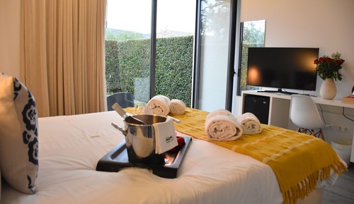 Standard Double Room, Mountain View