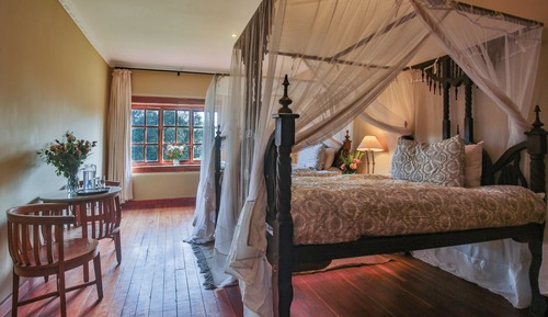 Elite Room