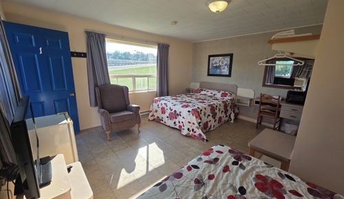 Comfort Quadruple Room