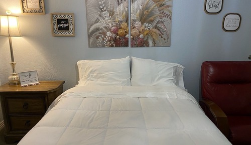 Basic Studio, 1 Queen Bed, Non Smoking, Private Bathroom
