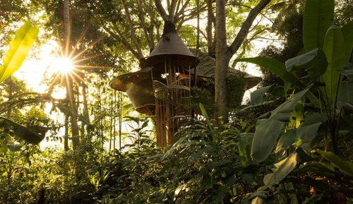 Tree House - One Bedroom Valley View