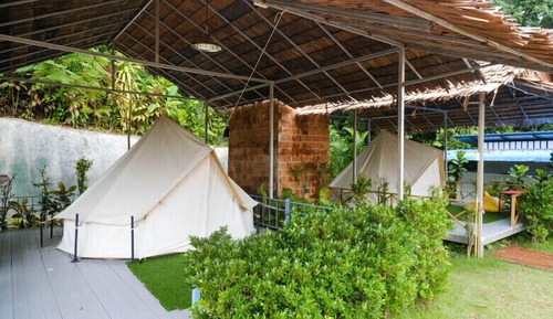 Basic Tent