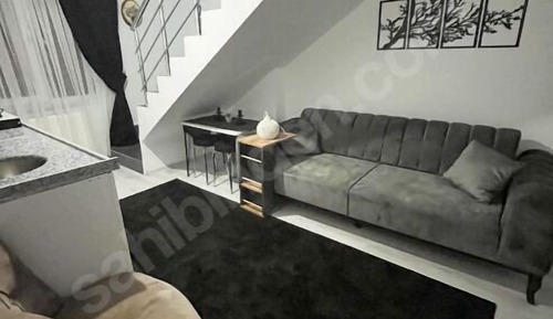 Basic Apartment