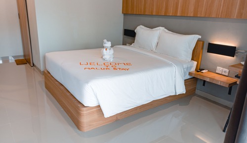 Superior Double or Twin Room