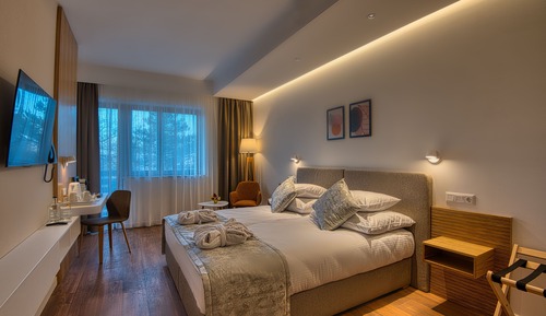 Premium Room