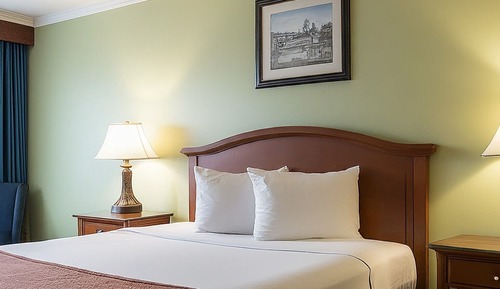 Premium Room, 1 Queen Bed