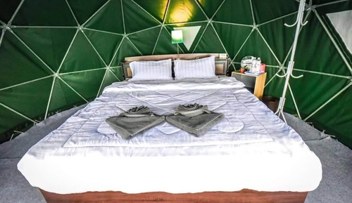 Standard Tent