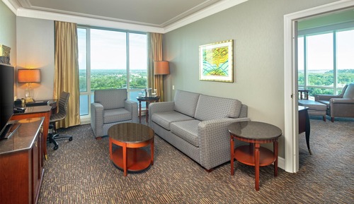 Suite, Business Lounge Access, View