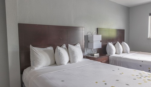 Premium Room, 2 Queen Beds