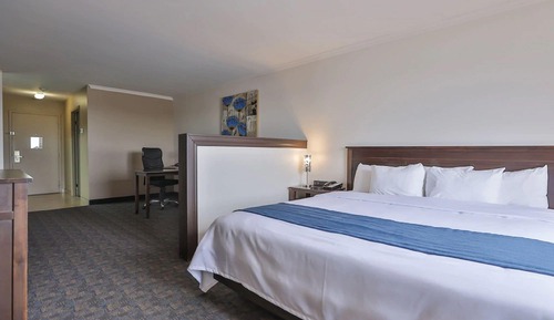 Business Suite, 1 King Bed with Sofa bed, Non Smoking