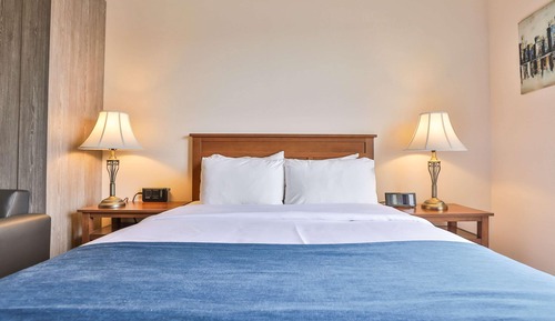 Business Room, 1 King Bed, Non Smoking