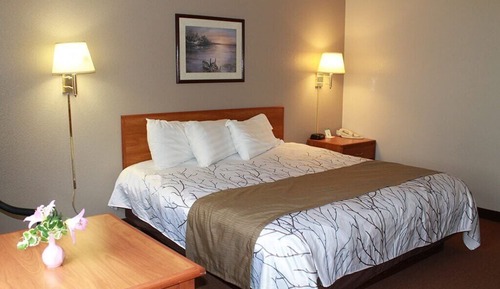 Standard Room, 1 King Bed