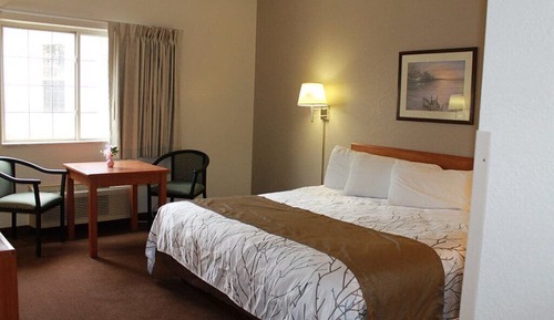 Standard Room, 1 King Bed, Roll-in Shower