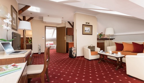 Deluxe Apartment