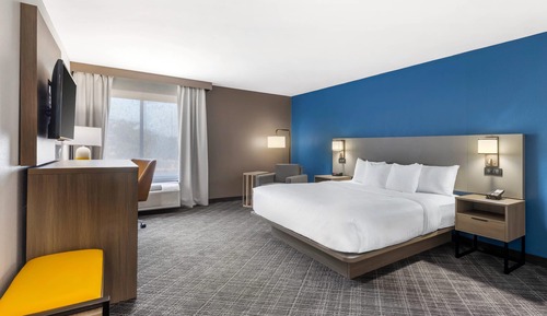 Room, 1 King Bed (Large)