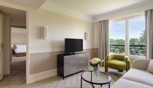 Suite, 1 King Bed with Sofa bed