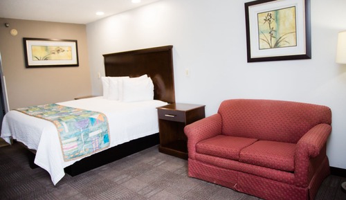 Business Room, 1 King Bed, Non Smoking, Microwave