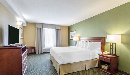 Standard Room 1 King Bed Non Smoking 