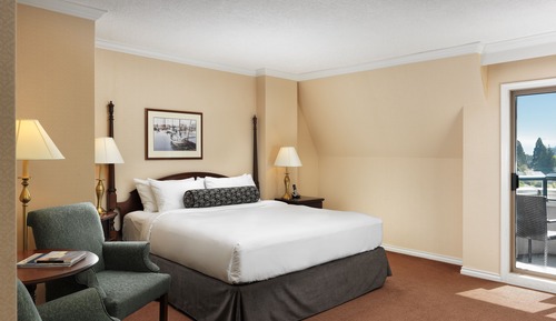 Room, 1 King Bed