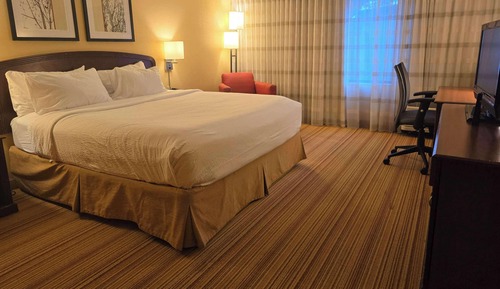 Room, 1 King Bed, Accessible, Non Smoking