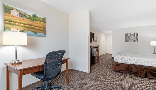 Suite, 1 King Bed, Non Smoking, Microwave (with Sofabed)